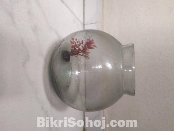 Round Fish Bowl Jaar